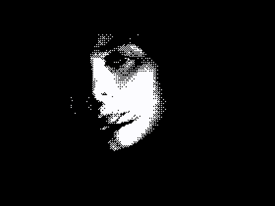 Photograph processed with Ordered (Bayer) dithering using the B&W (2 colors) palette