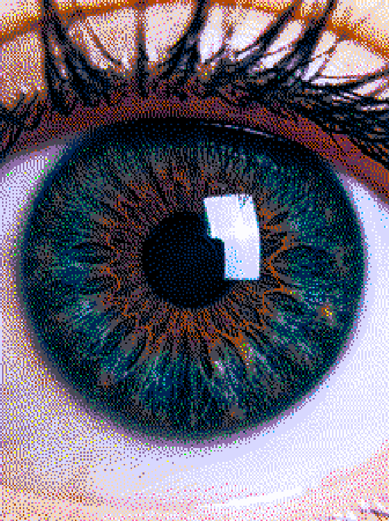 Iris, rendered with Floyd-Steinberg dithering and the PICO-8 palette