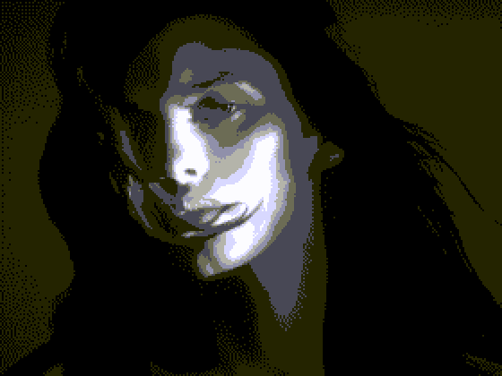 Photograph converted to the Grayscale 16 palette with Floyd-Steinberg dithering