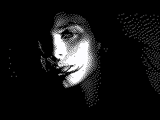 Photo converted to pixel art using the 1-bit palette