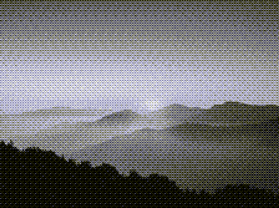 Photograph converted to the Grayscale 8 palette with Ordered (Bayer) dithering